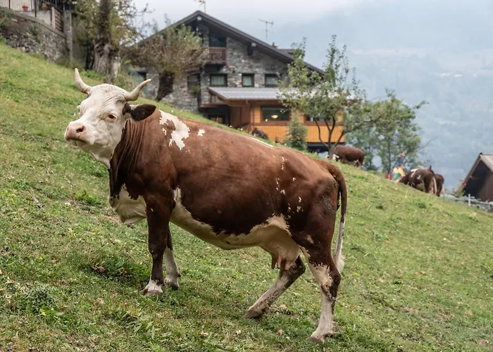 Farm stay La Clochette Torgnon